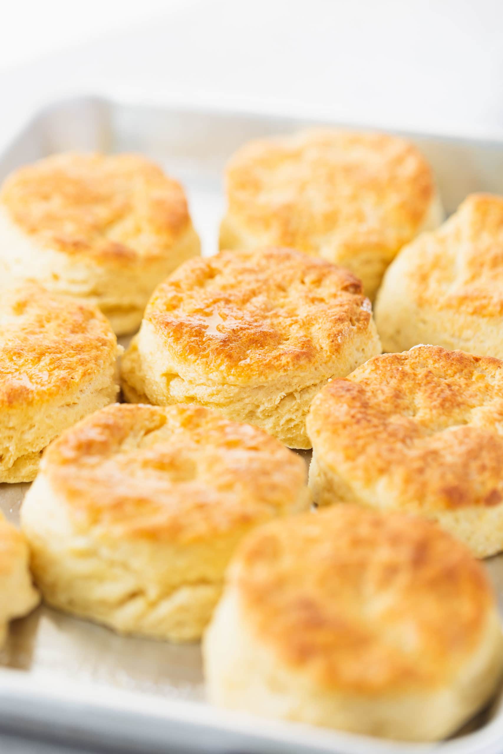 Buttermilk Biscuits A pan full of buttermilk biscuits. They are baked to a golden brown.