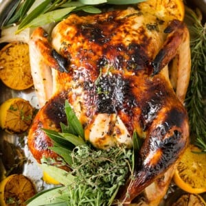 A photo of a whole roasted turkey on a platter surrounded by roasted lemon halves and bunches of fresh herbs.
